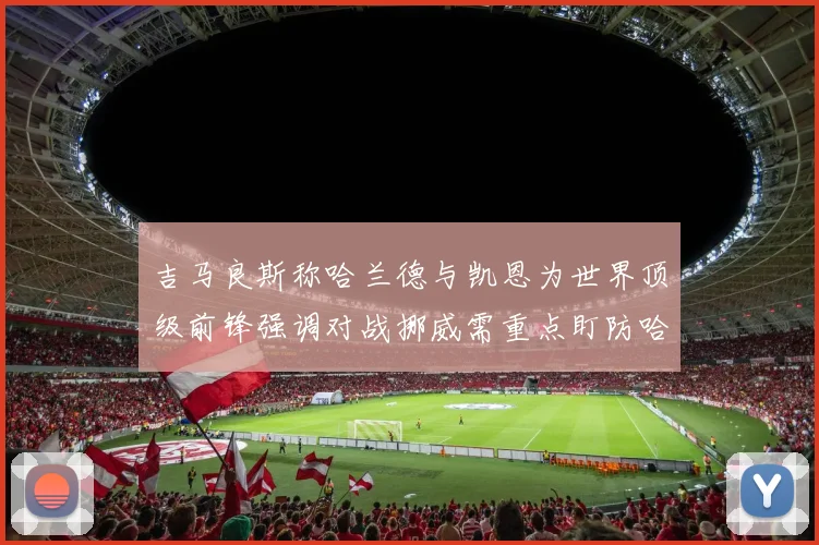 吉马良斯称哈兰德与凯恩为世界顶级前锋强调对战挪威需重点盯防哈兰德