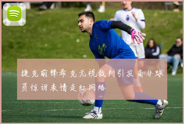 捷克前锋希克无视裁判引发南非球员惊讶表情走红网络