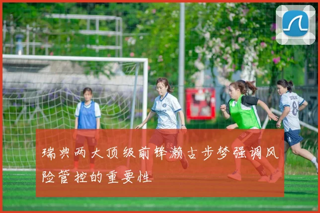 瑞典两大顶级前锋濑古步梦强调风险管控的重要性