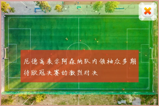 厄德高表示阿森纳队内领袖众多期待欧冠决赛的激烈对决