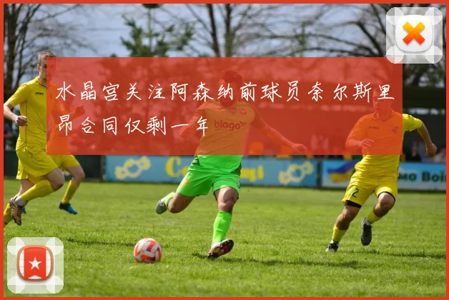 水晶宫关注阿森纳前球员奈尔斯里昂合同仅剩一年